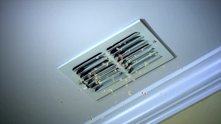 Best Ventilation Cleaning Services  in Bermuda Dunes, CA